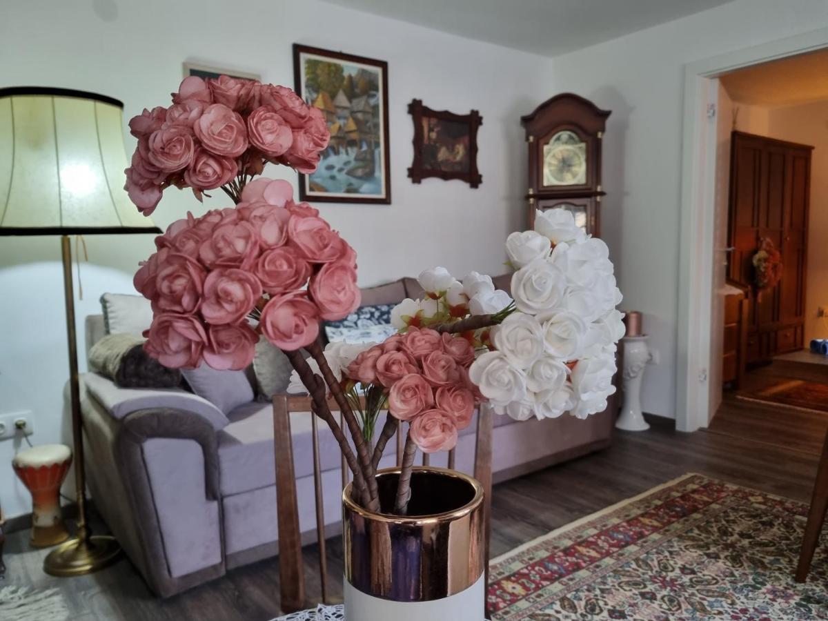Apartment Blaoss Karlovac Bagian luar foto
